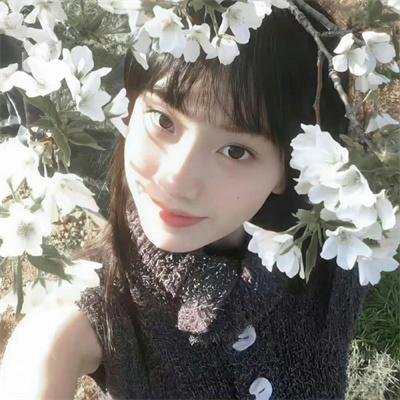 第十三个故事